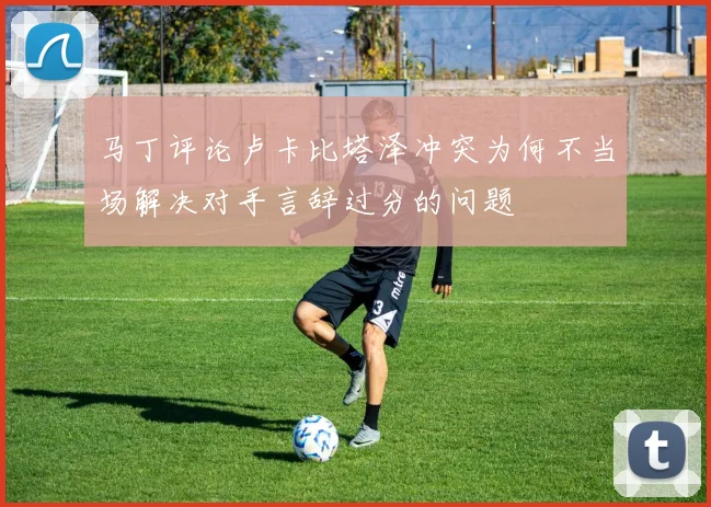 马丁评论卢卡比塔泽冲突为何不当场解决对手言辞过分的问题