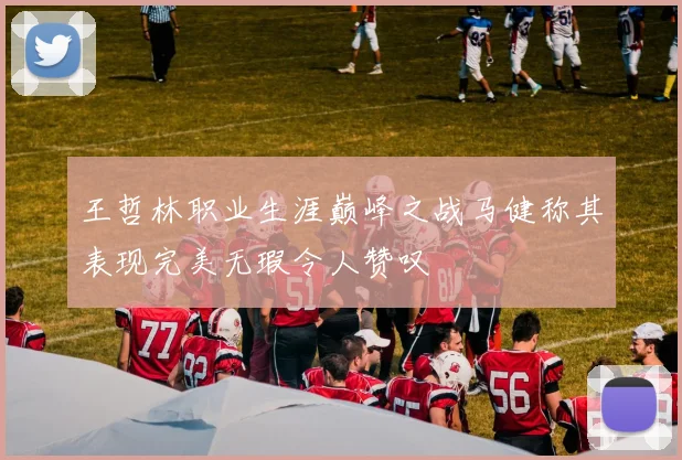 王哲林职业生涯巅峰之战马健称其表现完美无瑕令人赞叹